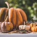 November 2025 Newsletter